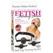 Ball Gag Training