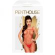 Bodystocking Penthouse Body Search