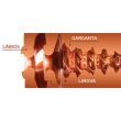 Fleshlight Turbo Thrust Copper