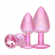 Kit de Plugs Anal Rosas Paris