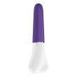 Mini Vibrador OVO D1