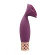 Mini Vibrador Passion