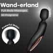 Satistyer Wand-erland