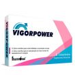 VigorPower 6un